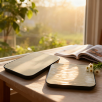 Nouvelle assiette en mélamine non toxique Japandi Design en porcelaine de type céramique BBQ Hot Pot Boeuf Sets de vaisselle pour hôtels