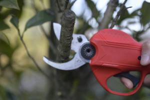 Outil de jardin professionnel, sécateur sans fil, cisailles électriques à batterie, puissance de sortie élevée, ciseaux de taille - Product Image 6