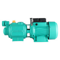 Pompe à vis à un étage tête haute pression grand débit pompe à eau pour toute la maison stimulant le puits d'eau à haute pression auto-amorçant