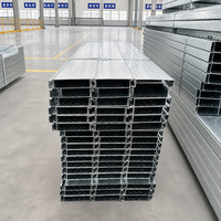 Système de plancher sans entrepôt 250*40 en acier galvanisé, panneaux structurels modulaires à levage rapide pour atelier
