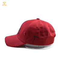 Personnalisable Papa Chapeau Rouge 3D Broderie Logo Brodé À La Main Dot Argyle Fruit Élégant Chapeaux Gorras Baseball Oxford Popeline