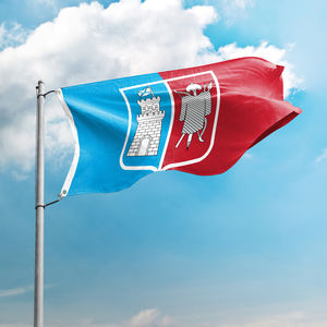Drapeau d'impression numérique personnalisé Designs de haute qualité Drapeau Rostov-On-<span class=keywords><strong>Don</strong></span> 3x5FT <span class=keywords><strong>Russie</strong></span> Ville Drapeaux pour événements en plein air Fêtes et plus - Product Image 1