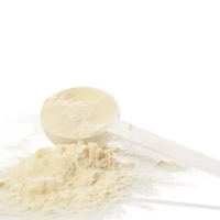 Capsules de perte de poids en gros, compléments alimentaires, pilules brûle-graisses, extrait de feuilles de thé vert, capsules BCAA