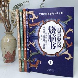 Ensemble de casse-têtes, 4 livres pour le développement de la pensée mathématique et logique des enfants, niveaux 1 à 6, fabriqué en Chine - Product Image 5