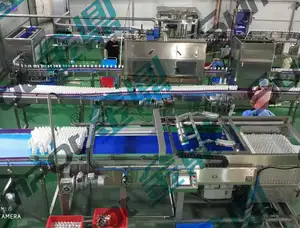 Lattine automatiche della bottiglia del barattolo di vetro che caricano la macchina per la lavorazione di scarico per la sterilizzazione degli alimenti