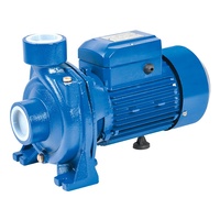 Pompe à eau centrifuge électrique série DTM DTM-20 2HP 1,5KW Grand débit pour l'irrigation agricole Bomba De Agua