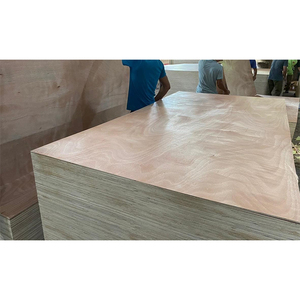 Pannelli in <span class=keywords><strong>compensato</strong></span> di qualità per mobili, spessore 3mm 4mm 12mm 18mm, impermeabili, per uso nautico, commerciali, in Okoume laminato - Product Image 3