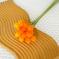Bouquets de fleurs séchées naturelles élégants et écologiques, longue durée, fraise, paille de blé, Gomphrena Globosa, pour la maison, fête des mères