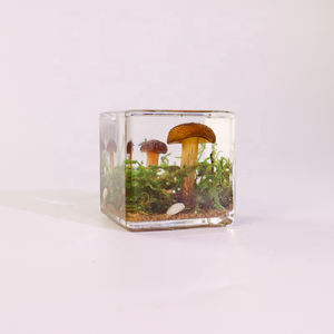 Usine de résine transparente divers de <span class=keywords><strong>champignons</strong></span> <span class=keywords><strong>champignons</strong></span> et mousse spécimens de résine de paysage - Product Image 2