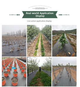 Toile de paillage agricole biodégradable en polypropylène, barrière anti-<span class=keywords><strong>mauvaises</strong></span> <span class=keywords><strong>herbes</strong></span>, tissu paysager non tissé noir pour empêcher la croissance de l'herbe - Product Image 5
