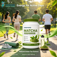 Fabricant de poudre de thé vert Matcha OEM ODM, en vrac, pot de 300g, pour l'énergie et la concentration quotidiennes, fournisseur de poudre de thé de haute pureté