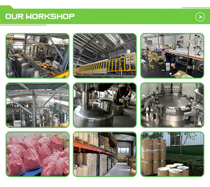 โททาโรล 1% เกรดเครื่องสำอาง สารสกัดจากไม้โปโดคาร์ปัส โททาโรล ออยล์ - Product Image 6