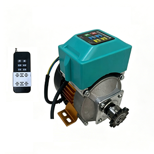 Motor CC sin escobillas BLDC de alta eficiencia y baja velocidad 500W 650W 800W 12V con control remoto y freno para cabrestante - Product Image 2