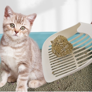 Pala y Filtro Extra Grande para Limpieza de Arena de Gatos, Portátil, de Plástico, para Recoger Excrementos - Product Image 6