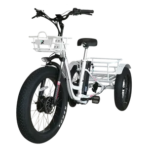 Ebike จักรยานไฟฟ้า3ล้อ,เฟรมอลูมิเนียม2022 W \ 500W 48V จักรยานสามล้อไฟฟ้า750