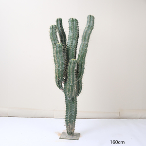 Plante artificielle en plastique, cactus, verdure, plante paysagère pour la <span class=keywords><strong>d</strong></span>écoration intérieure et extérieure, maison, bureau, faux arbres, plantes artificielles - Product Image 2