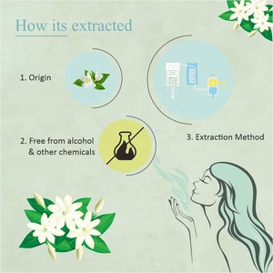 Fournisseurs d'huiles essentielles, prix de gros, huile absolue de jasmin de qualité supérieure, huile essentielle de jasmin 100% pure et biologique - Product Image 6