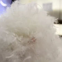 Usine en gros 90% duvet d'oie blanche/10% plume d'oie matériau de remplissage pour oreiller de couette