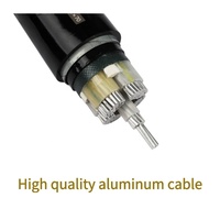 Câble d'alimentation industriel basse tension en aluminium blindé PVC, 3, 4 ou 5 conducteurs, YJLV/YJLV22, avec fil d'acier