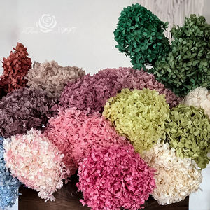 ดอกไม้ธรรมชาติที่เก็บรักษาไว้ได้ง่ายดอกไฮเดรนเยียของตกแต่งบ้านงานแต่งงานช่อดอกไม้แห้ง - Product Image 3