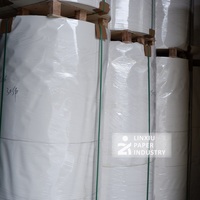 Rouleau de papier enduit de PE blanc optimisé pour la flexographie imperméable, pour la fabrication à grande vitesse de gobelets à café et à boissons