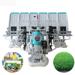 CHANGTIAN industrial philippine rice transplanter para venda com preço 2 rows andando transplanter rice planting machinery