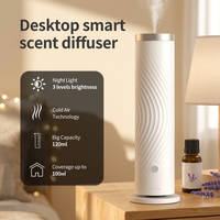 Diffuseur d'arômes intelligent sans eau OEM ODM pour hôtel, spa, bureau, avec minuterie réglable et brume fine