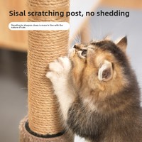 Nouvelle Arrivée Arbre à Chat Compact et Spacieux avec Griffoir en Sisal Anti-éclaboussures, Maison Confortable pour Chat et Mobilier de Jeu pour Chatons