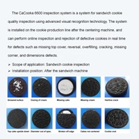 Caméra industrielle Cookie Cracker Hardtack Wafer Tortillas Système d'inspection visuelle Scraps déchirés cassés Inspecter la forme Détective