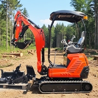 Mini-excavatrice avec commande latérale hydraulique par joystick, moteur Kubota DY18, prix direct usine, pour usage domestique et agricole