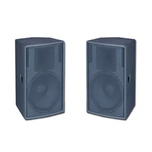 Moniteur de Studio tout-en-un professionnel, haut-parleur passif, audio bidirectionnel, 15 pouces