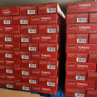 Ketchup de tomate OEM à faible MOQ, 9g, 340g en vrac, sachet, bouteille, sac, briquet, emballage aseptique, prix usine bas