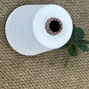 Viscose Rayon kéo sợi cho đan dệt may nguyên mẫu Kích thước 20S 30S 40S 50S 60S - Product Image 4