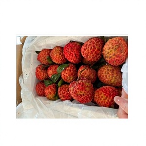 Lichi Entero Congelado IQF, Piezas de Fruta Natural Redondas, Envasado al Vacío - Product Image 5