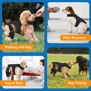 Dog <b>Knee</b> <b>Brace</b> Legs <b>Support</b> Wraps for Elderly Dogs Torn ACL Joint Luxating Patella Compression Wrap Adjustable Pet <b>Knee</b> <b>Brace</b> - Product Image 5