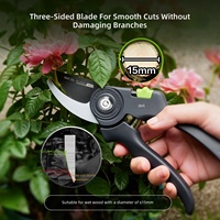 Deli DL-YL0002 snoeischaar voor bloemen, takken, fruitbomen, tuinen en landschapsarchitectuur om boomtakken te snoeien
