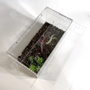 Reptile Crawling Pet Acrylic Reptile Display Cases Spider Cases with Magnetic Lid For Display Only