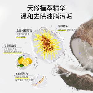 Shampooing en baume moussant sans rinçage pour chats à peau grasse, aux extraits naturels, nettoyage doux, soin de la peau grasse - Product Image 1
