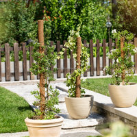Support de plante en fibre de coco Coir Totem Pole, auto-arrosant, extensible, pour jardin intérieur et extérieur
