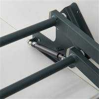 Dommagic Moderno Ecológico Ajustável Cesto Elevatório de Metal Fosco para Armário de Cozinha e Despensa, Suporte para Temperos, 2 Anos de Garantia