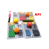 Ensemble de couteaux à fruits en acier inoxydable pour la cuisine Excellent emballage Support OEM personnalisé de qualité bricolage