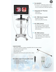 Juego de artroscopia de cistoscopio laparoscópico de 24 pulgadas Cámara endoscópica portátil Full HD 1080P para diagnóstico de cirugía - Product Image 4
