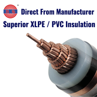 Cable de Potencia de Media Tensión de Alto Rendimiento YJV con Aislamiento XLPE y Blindaje CWS/CTS 3.6/6kV-26/35kV, Cable Blindado de Media Tensión