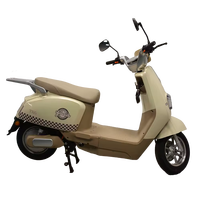 Sepeda Listrik 800W Grosir untuk Dewasa, Stylish & Tahan Lama, Tegangan 60v dengan Spion Sein, Motor Listrik