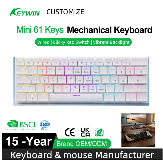 Factory OEM ODM 60% Wired Low-profile Mechanical Keyboard Custom 61-Key Red Switch Type-C USB Wired RGB LED Mechanical Keyboard