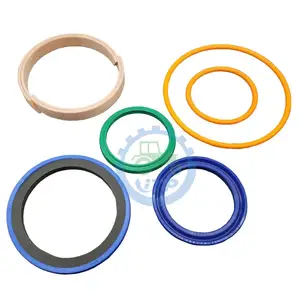 Customize private labels hydraulic cylinder seal kit Fit For JCB 3CX 4CX Hydraulic Cylinder Seal kit 991/20021