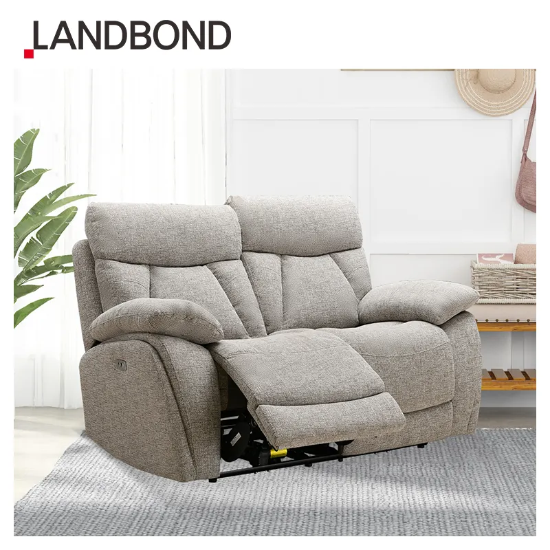 LANDBOND Ghế Dài Sang Trọng Văn Phòng Gia Đình Hiện Đại Ghế Sofa Phòng Khách Ghế Tựa Điện 2 Chỗ Ghế Sofa Đồ Nội Thất