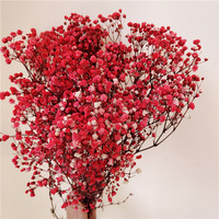 Yopin-2226 Groothandel Gedroogde Gypsophila Bloemen Bruiloft Geconserveerde Baby Adem Bloem
