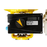Vanne de régulation de gaz pneumatique Flowserve avec construction de type globe et garniture de type cage pour un contrôle précis du débit