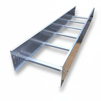SHEN LIAN Chemins de câbles en acier inoxydable 304 de type échelle, personnalisables avec capacité de charge ajustable pour la pose de câbles en Chine